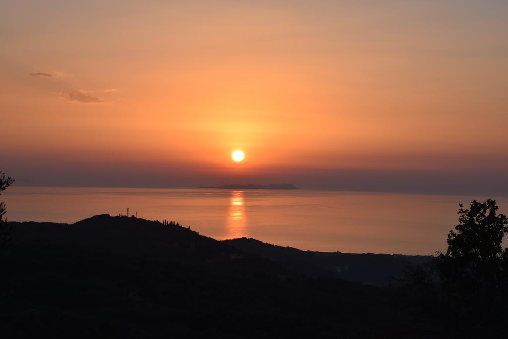 Olive Villa *